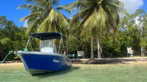 Excursion Demi Journée